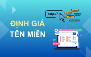 Định giá tên miền